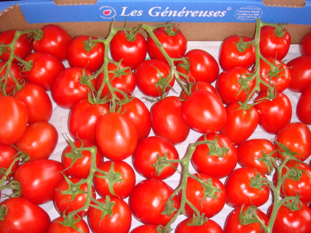 Les tomates genereuses