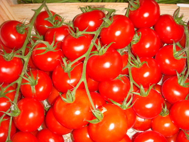 La tomate authentique