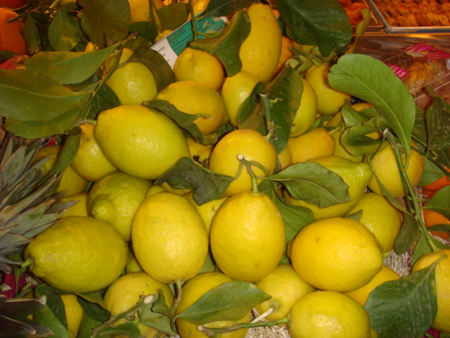 Le citron de Menton
