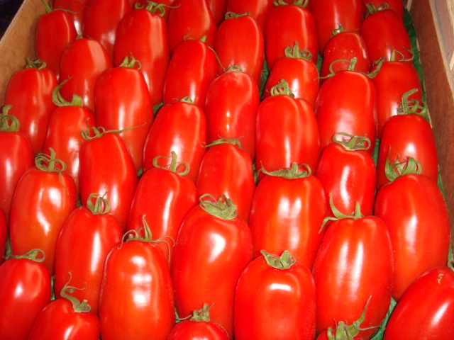 La tomate torino